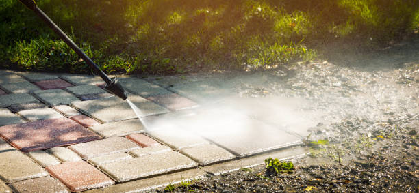 Best Animal Enclosure Cleaning  in Hollywood, FL
